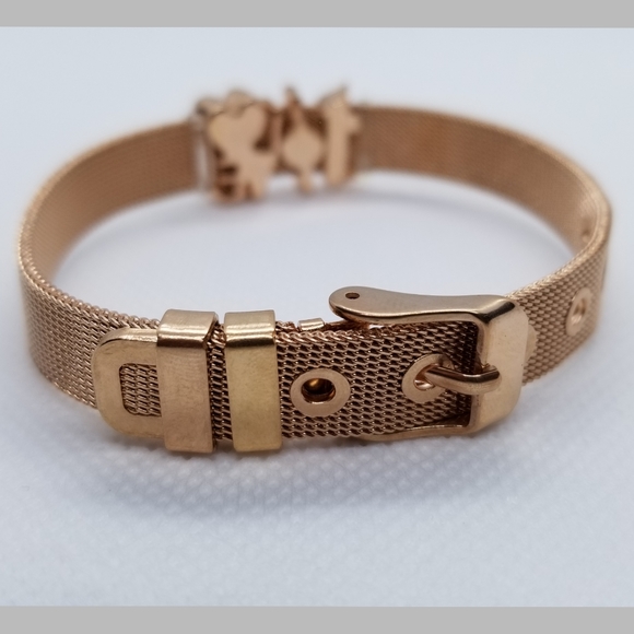 5⭐ rated 💗 Rose Gold Family Themed Charm Bracelet - Picture 2 of 6